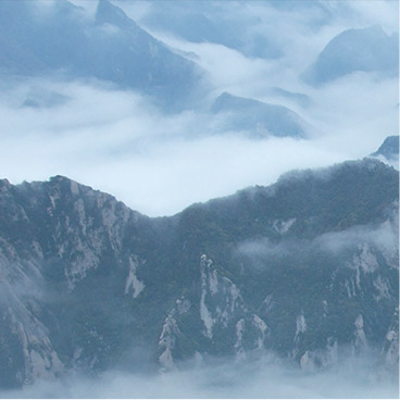 自动攻击网站工具下载